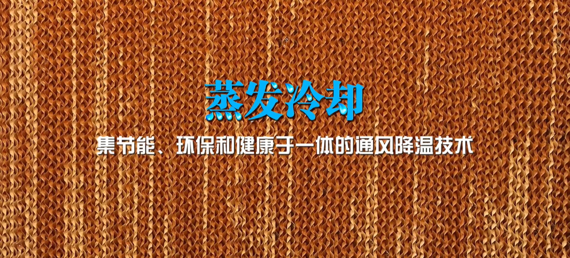 細(xì)節(jié)